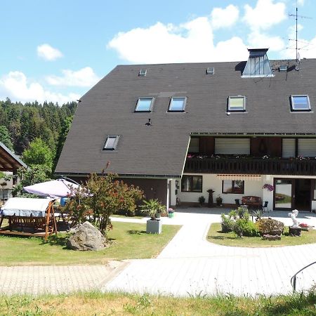 Апартаменти Haus Ingeborg Dachsberg im Schwarzwald Екстер'єр фото
