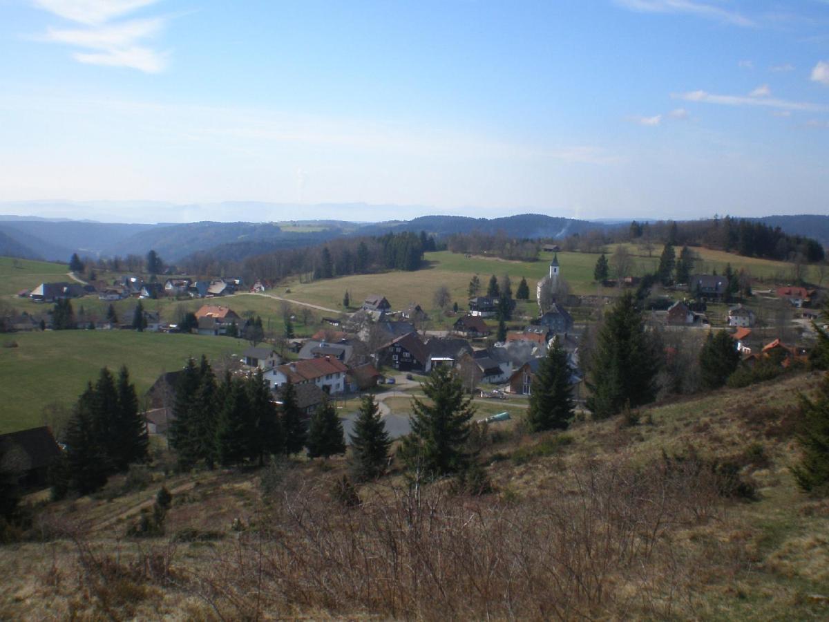 Апартаменти Haus Ingeborg Dachsberg im Schwarzwald Екстер'єр фото