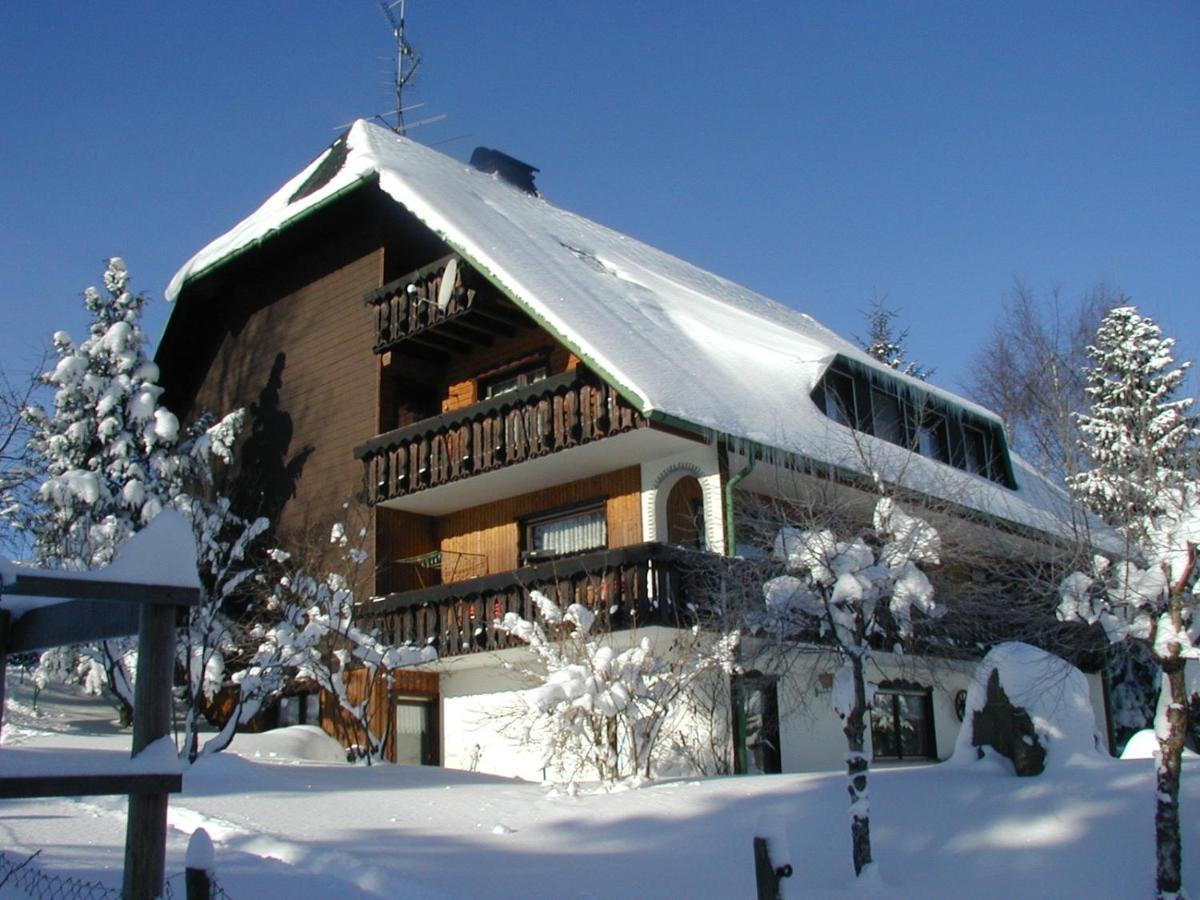 Апартаменти Haus Ingeborg Dachsberg im Schwarzwald Екстер'єр фото